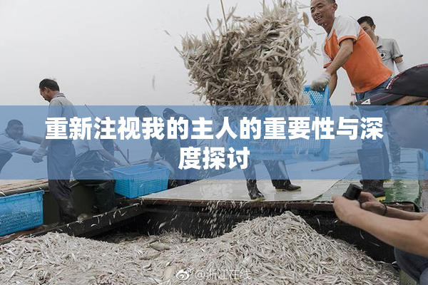 重新注视我的主人的重要性与深度探讨