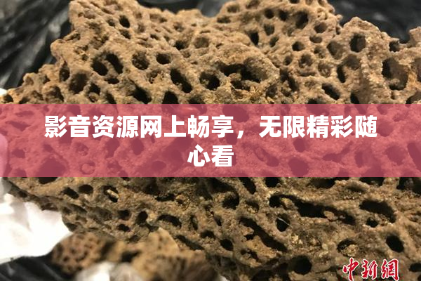 影音资源网上畅享，无限精彩随心看