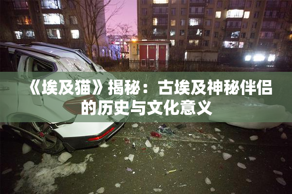 《埃及猫》揭秘：古埃及神秘伴侣的历史与文化意义