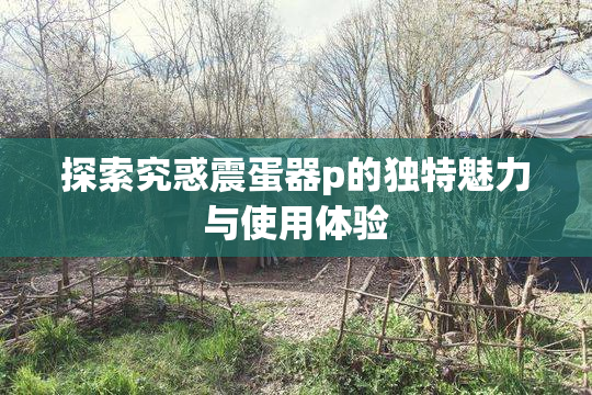 探索究惑震蛋器p的独特魅力与使用体验