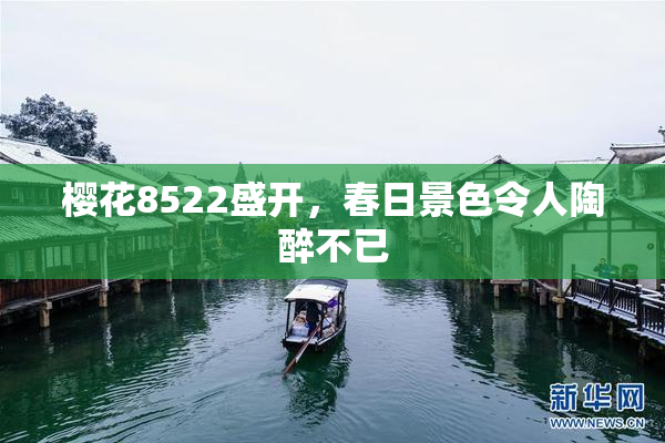 樱花8522盛开，春日景色令人陶醉不已