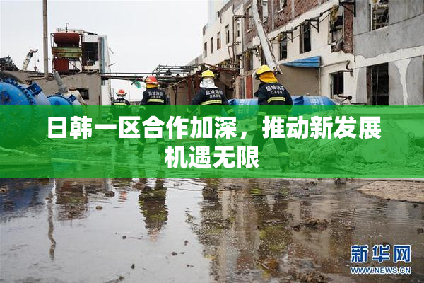 日韩一区合作加深，推动新发展机遇无限