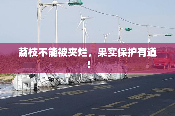 荔枝不能被夹烂，果实保护有道！