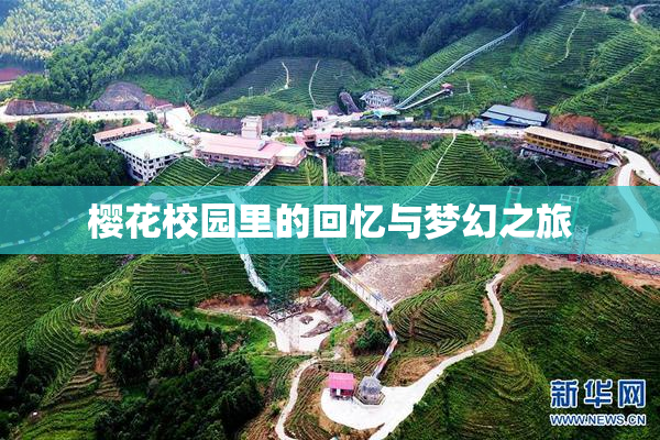 樱花校园里的回忆与梦幻之旅