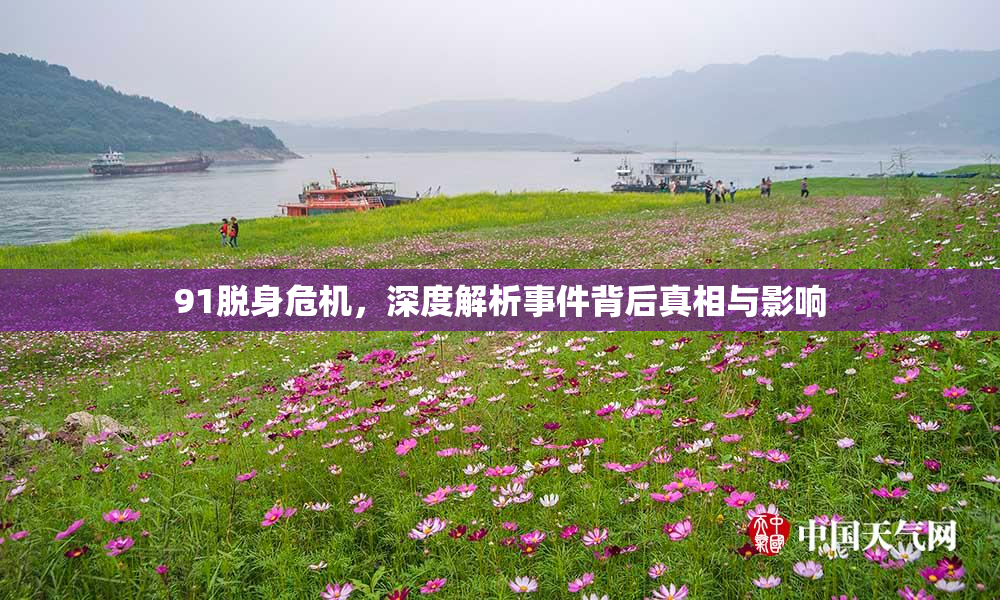 91脱身危机，深度解析事件背后真相与影响