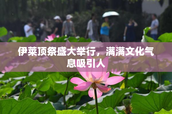 伊莱顶祭盛大举行，满满文化气息吸引人