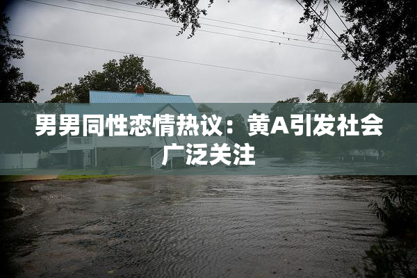 男男同性恋情热议：黄A引发社会广泛关注