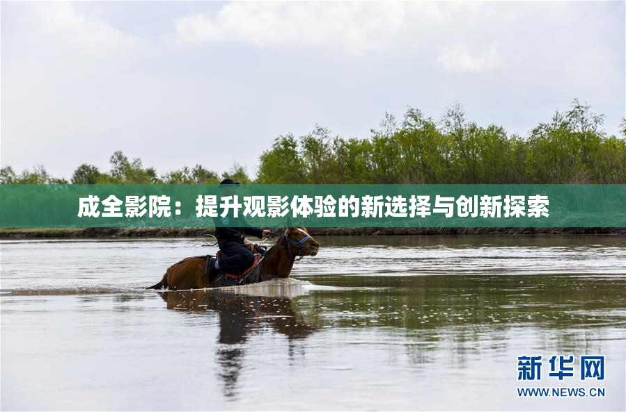 成全影院：提升观影体验的新选择与创新探索
