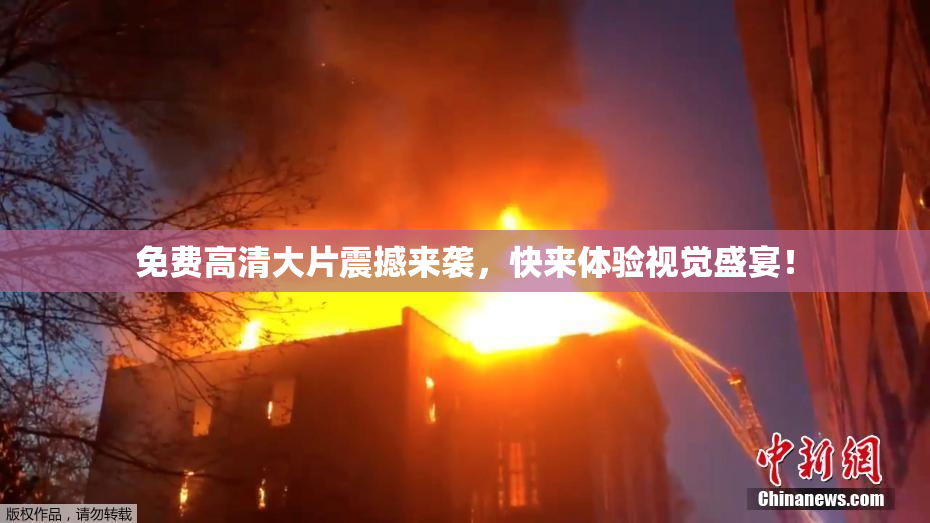 免费高清大片震撼来袭，快来体验视觉盛宴！