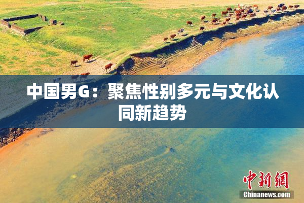 中国男G：聚焦性别多元与文化认同新趋势
