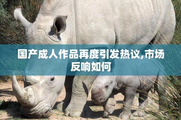 国产成人作品再度引发热议,市场反响如何