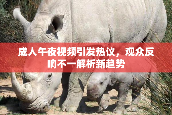 成人午夜视频引发热议，观众反响不一解析新趋势
