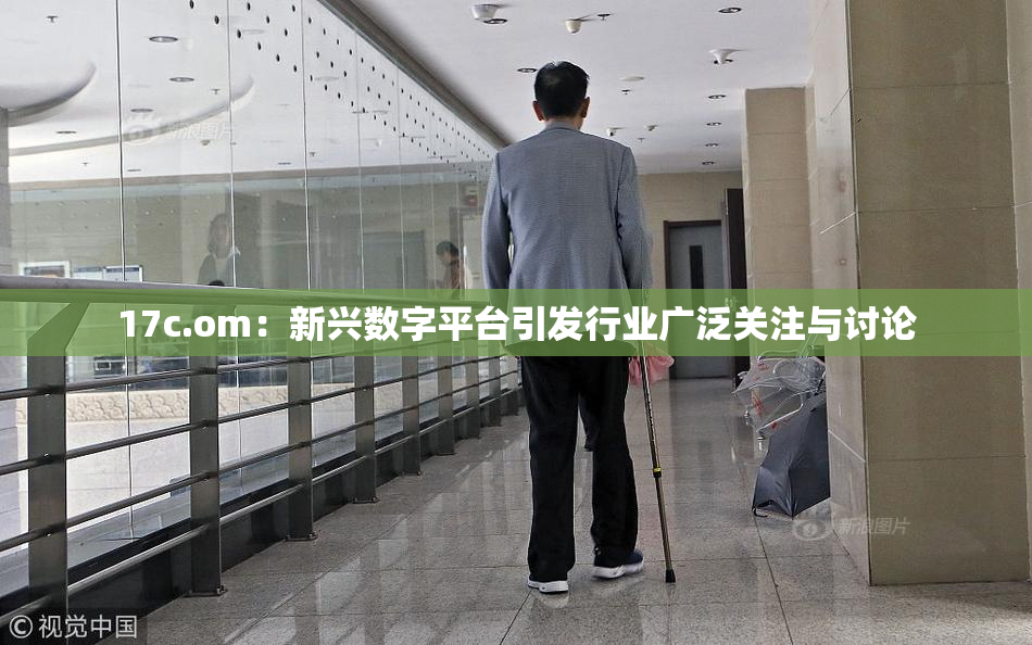 17c.om：新兴数字平台引发行业广泛关注与讨论