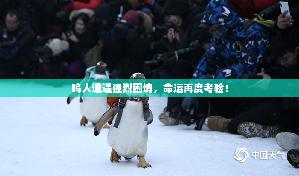 鸣人遭遇强烈困境，命运再度考验！