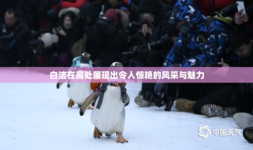 白洁在高处展现出令人惊艳的风采与魅力