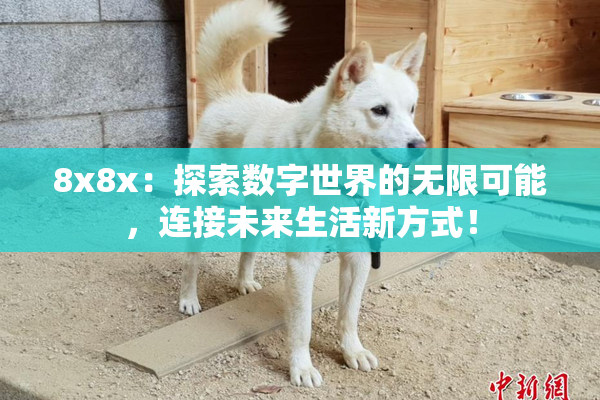 8x8x：探索数字世界的无限可能，连接未来生活新方式！