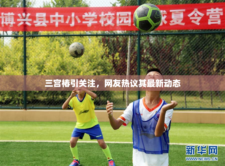 三宫椿引关注，网友热议其最新动态