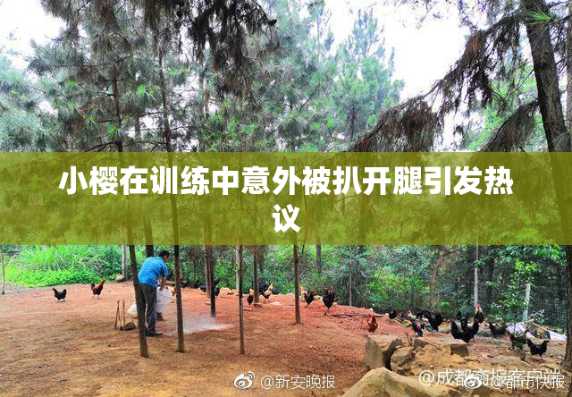 小樱在训练中意外被扒开腿引发热议