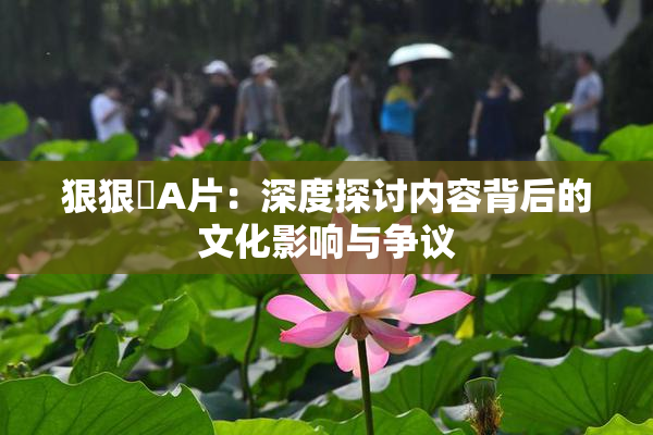 狠狠穞A片：深度探讨内容背后的文化影响与争议