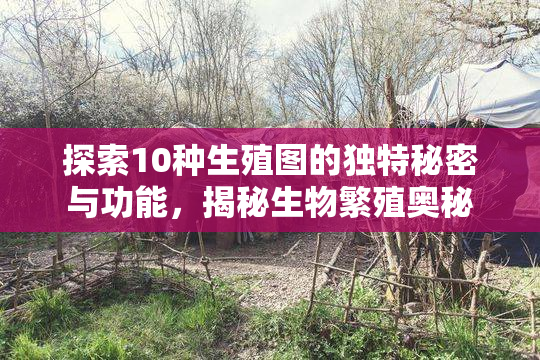 探索10种生殖图的独特秘密与功能，揭秘生物繁殖奥秘