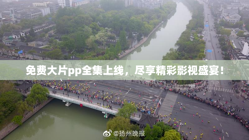 免费大片pp全集上线，尽享精彩影视盛宴！