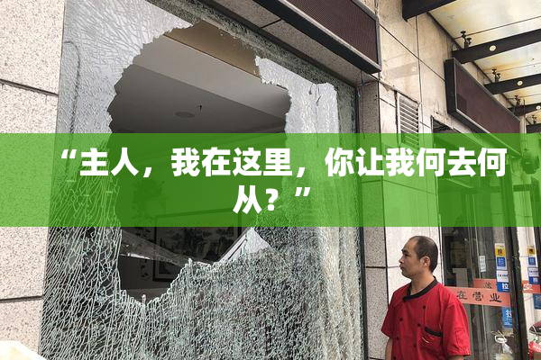 “主人，我在这里，你让我何去何从？”