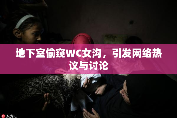 地下室偷窥WC女沟，引发网络热议与讨论