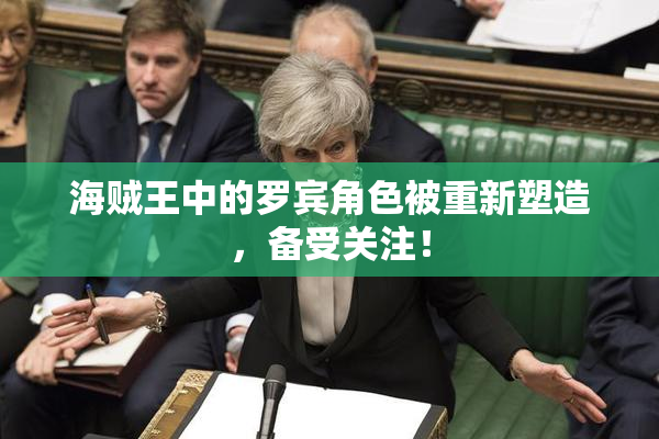 海贼王中的罗宾角色被重新塑造，备受关注！
