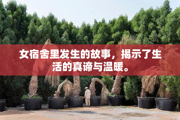 女宿舍里发生的故事，揭示了生活的真谛与温暖。