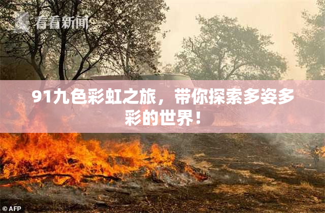 91九色彩虹之旅，带你探索多姿多彩的世界！