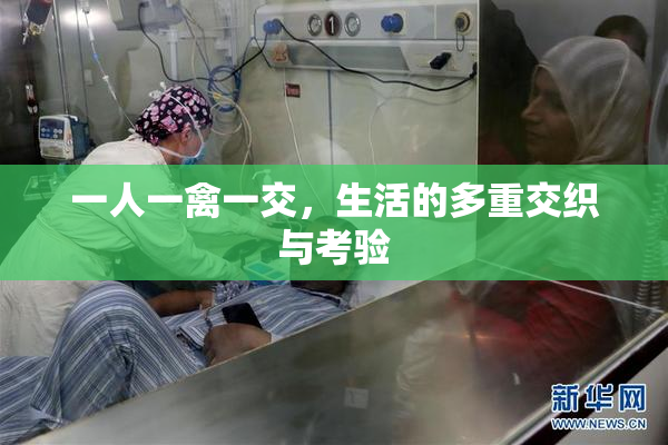 一人一禽一交，生活的多重交织与考验