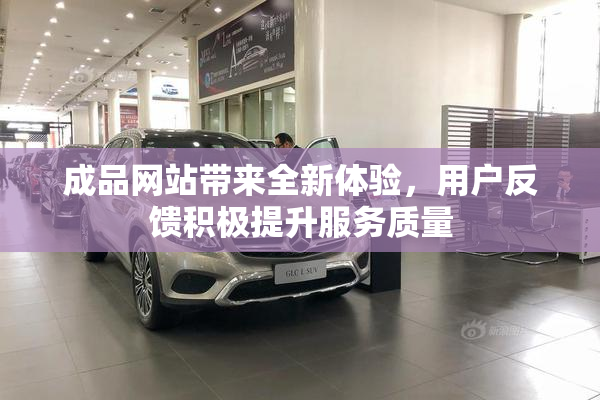 成品网站带来全新体验，用户反馈积极提升服务质量