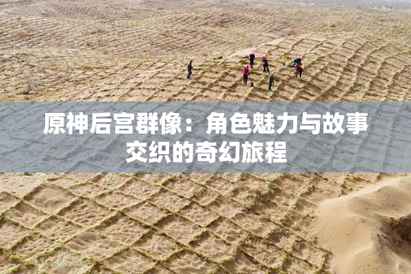 原神后宫群像：角色魅力与故事交织的奇幻旅程