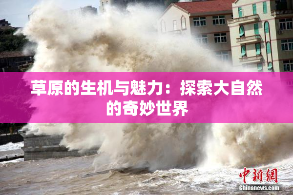草原的生机与魅力：探索大自然的奇妙世界