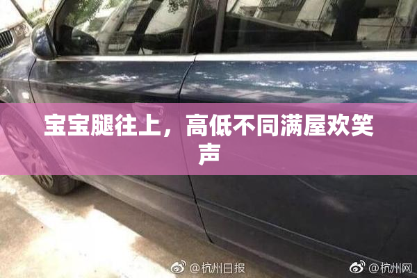 宝宝腿往上，高低不同满屋欢笑声