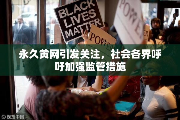 永久黄网引发关注，社会各界呼吁加强监管措施