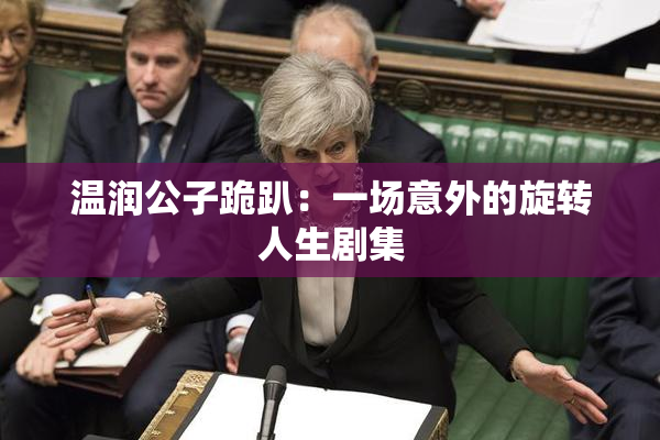 温润公子跪趴：一场意外的旋转人生剧集