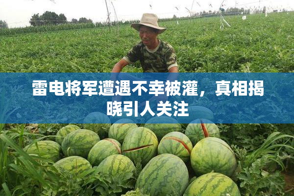 雷电将军遭遇不幸被灌，真相揭晓引人关注