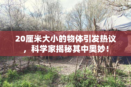 20厘米大小的物体引发热议，科学家揭秘其中奥妙！