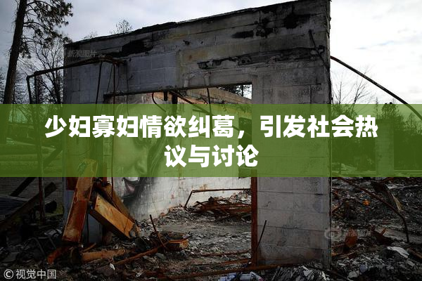 少妇寡妇情欲纠葛，引发社会热议与讨论