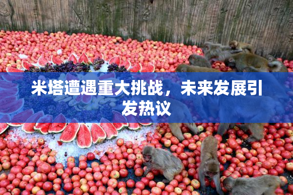 米塔遭遇重大挑战，未来发展引发热议
