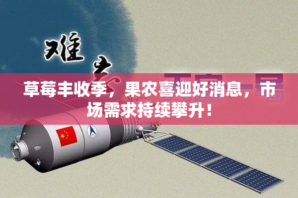 草莓丰收季，果农喜迎好消息，市场需求持续攀升！