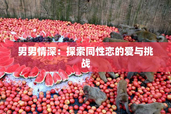 男男情深：探索同性恋的爱与挑战