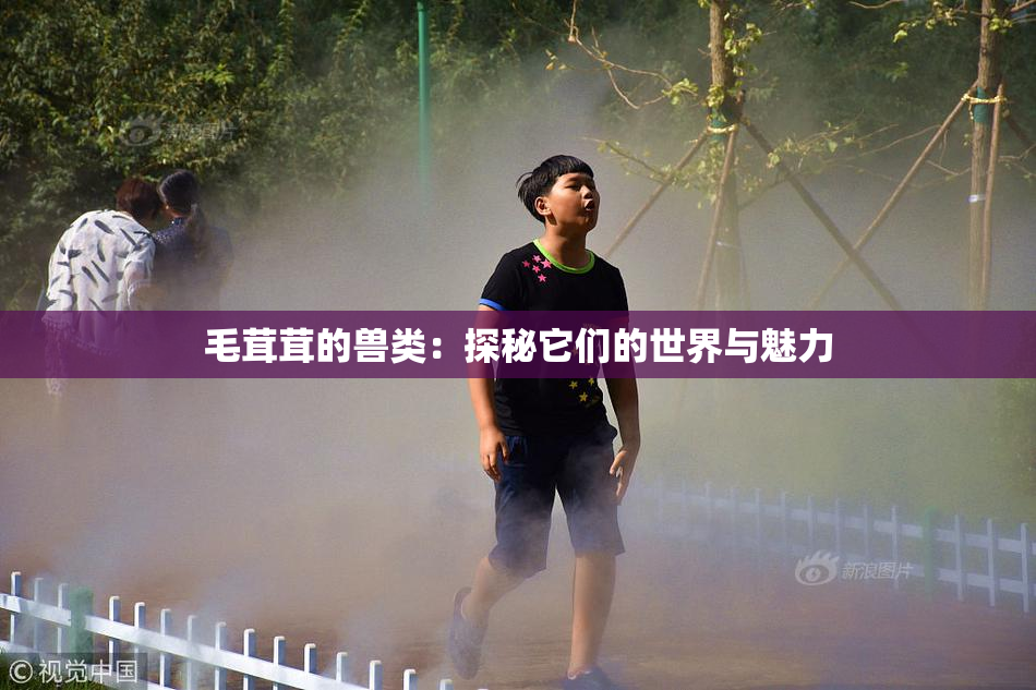 毛茸茸的兽类：探秘它们的世界与魅力