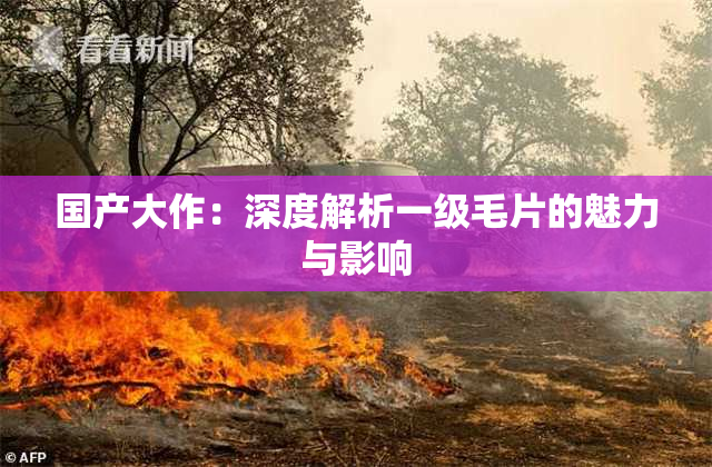 国产大作：深度解析一级毛片的魅力与影响