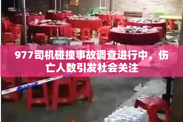 977司机碰撞事故调查进行中，伤亡人数引发社会关注