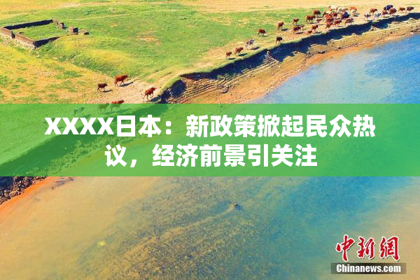 XXXX日本：新政策掀起民众热议，经济前景引关注