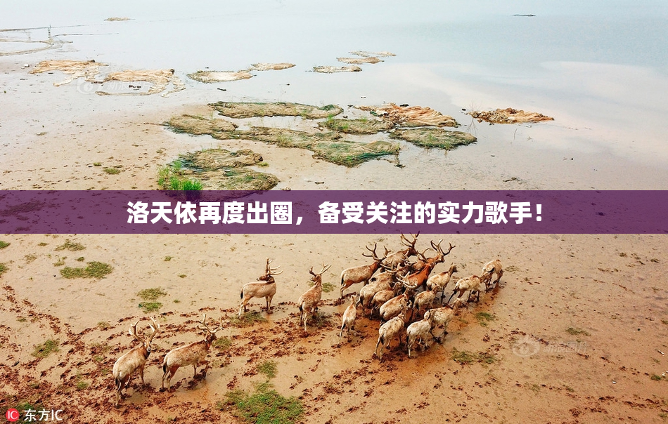 洛天依再度出圈，备受关注的实力歌手！