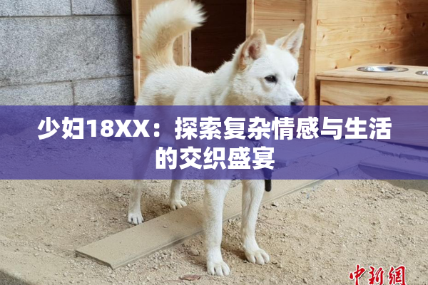 少妇18XX：探索复杂情感与生活的交织盛宴