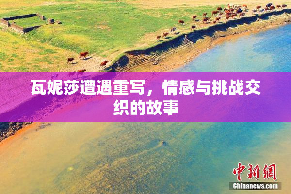 瓦妮莎遭遇重写，情感与挑战交织的故事